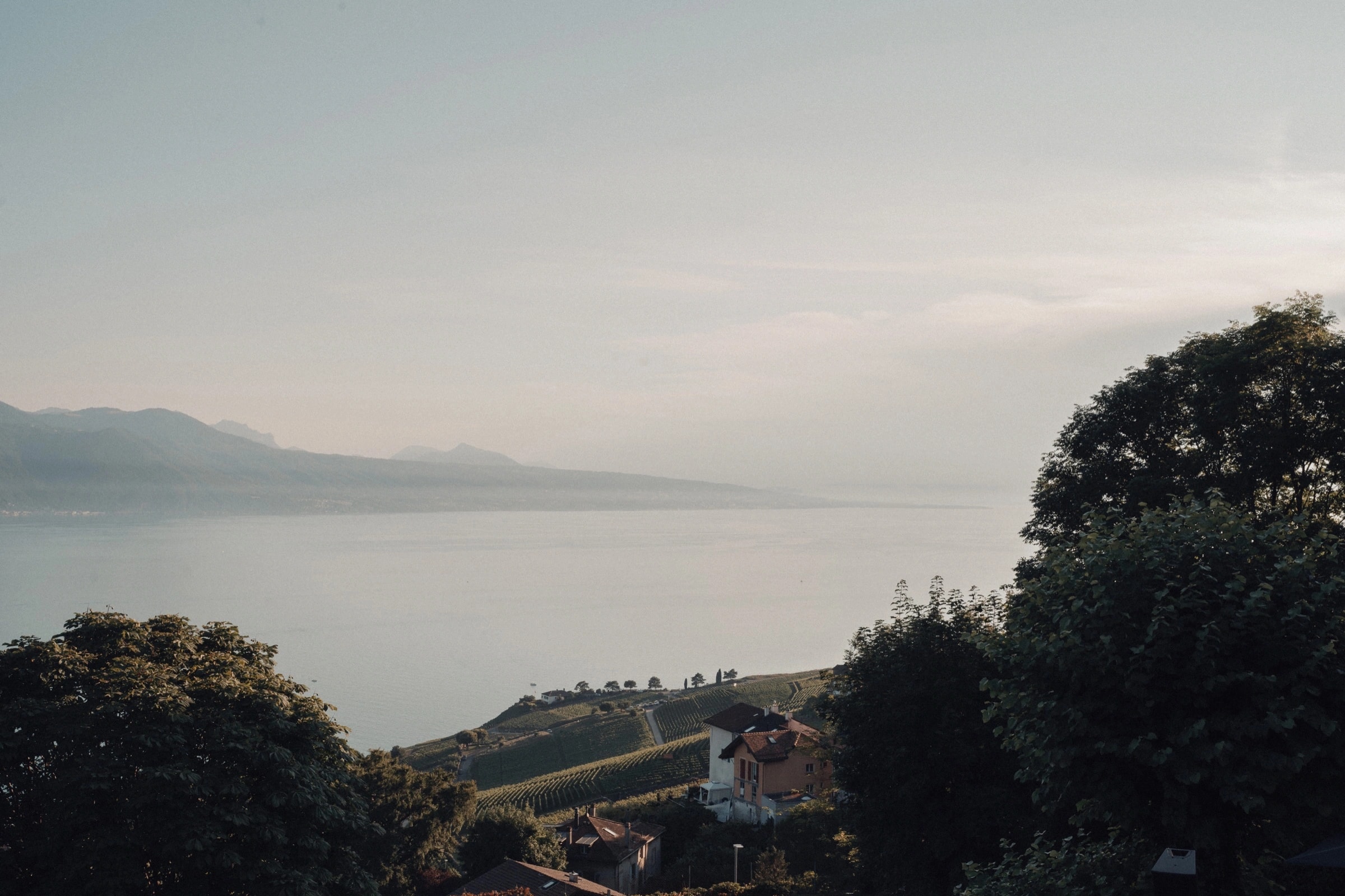 Vista sul Lago di Ginevra e sui vigneti del Lavaux dalla terrazza dell’Hôtel Préalpina a Chexbres.