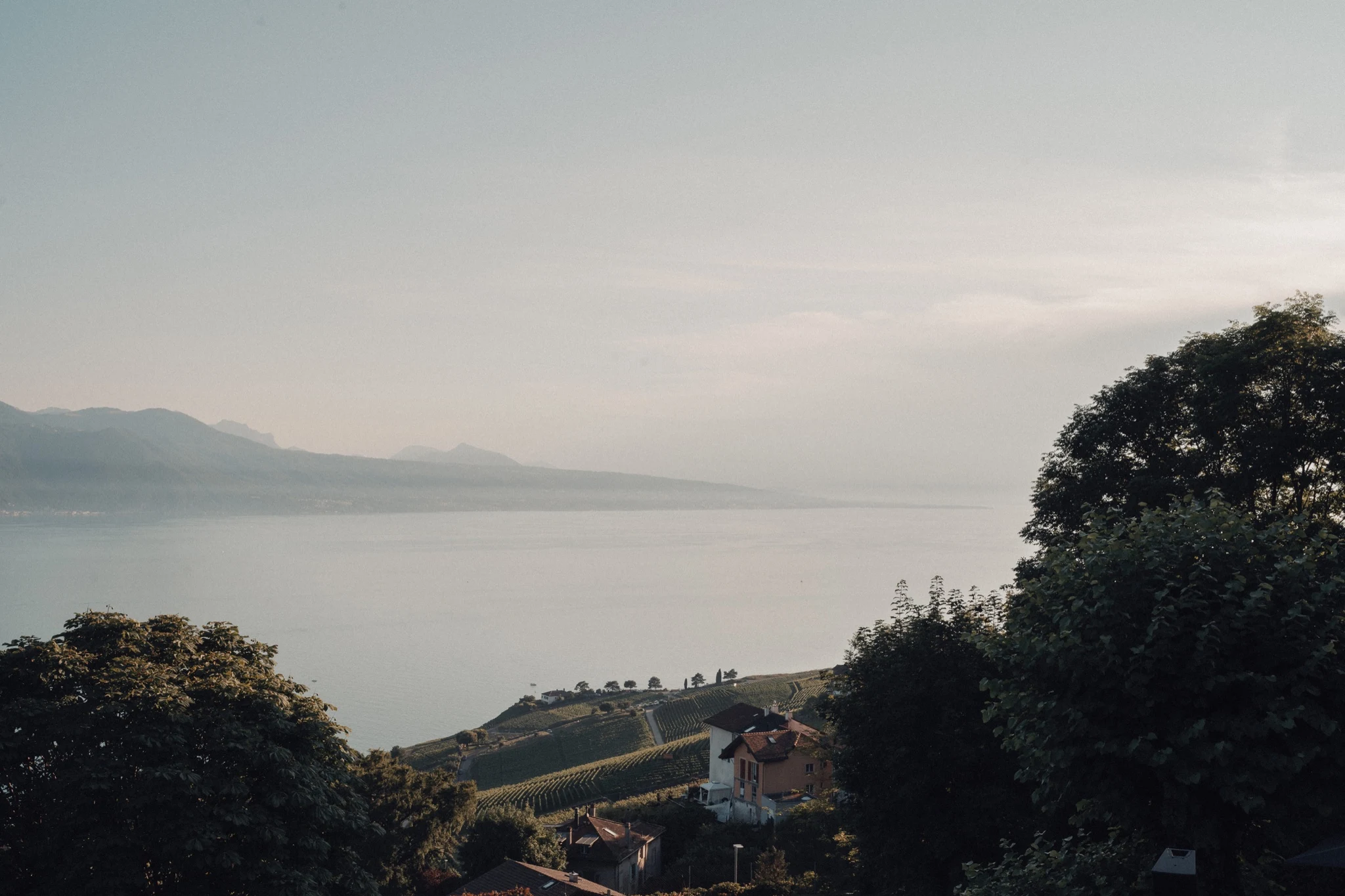 View over Lake Geneva and the Lavaux vineyards from the terrace of Hôtel Préalpina in Chexbres.